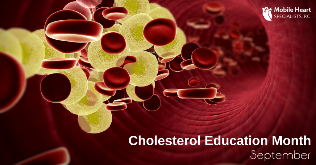 cholesterol in blood